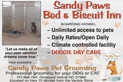doggy daycare in the outer banks