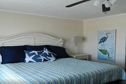 pet friendly hotel in the outer banks