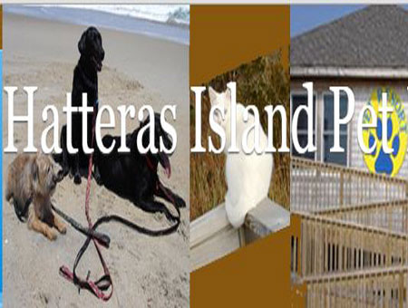 pet day care outer banks